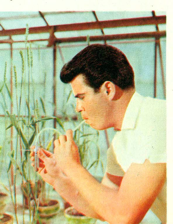 Hallazgo en el archivo